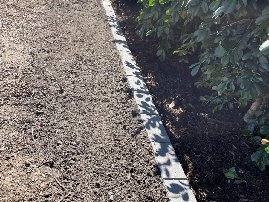 Concrete garden edging separating new turf from a planted bed