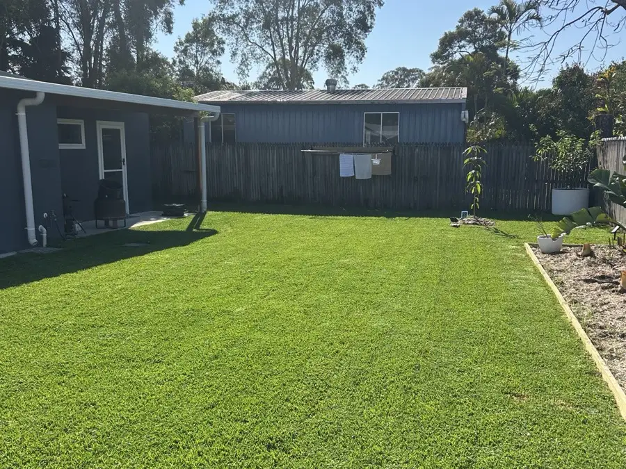The same backyard with established turf four weeks later