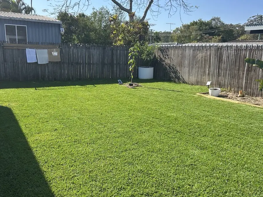 Established lawn in a landscaped backyard